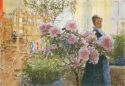 Carl Larsson Azalea china oil painting artist